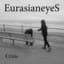 Eurasianeyes