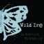 Wild Ire