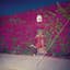 Feist