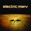 Electric Mary