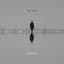 The Veils