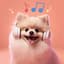 Barky