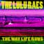 The Lulu Raes