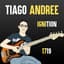Tiago Andree