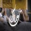 Yousef Al Ayoub