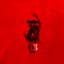 Gorilla Zoe