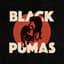 the black moons