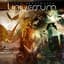 Universum