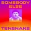 Tensnake