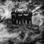 Officium Triste