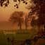 Jacco Wynia