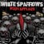 White Sparrows