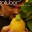 Tafubar