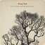 King Oak