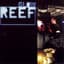Reef