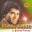 Sinan Sakic