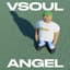 VSOUL