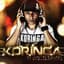 MC Koringa