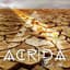 Acrida