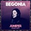 Begonia