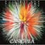 Casiopea