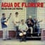 Agua de Florero
