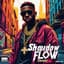 Shadow Flow