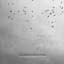Alteria Percepsyne