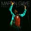 Marvin Gaye