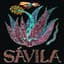 Sávila