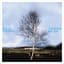 Nils Krogh