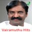 Tippu