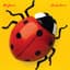 Bob James