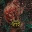 Brain Stem
