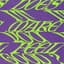 Confidence Man