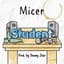 Micer