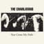 The Charlatans
