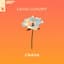 Loud Luxury