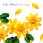 Andy Williams