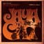 Jaya the Cat