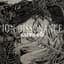 Ion Dissonance
