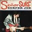 Surfer Joe