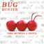 Bug Hunter