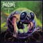 Revocation