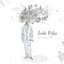 Josh Pyke