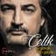 çelik