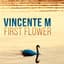 Vincente M