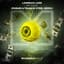 Laidback Luke