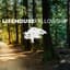 Lifehouse
