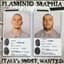 Flaminio Maphia